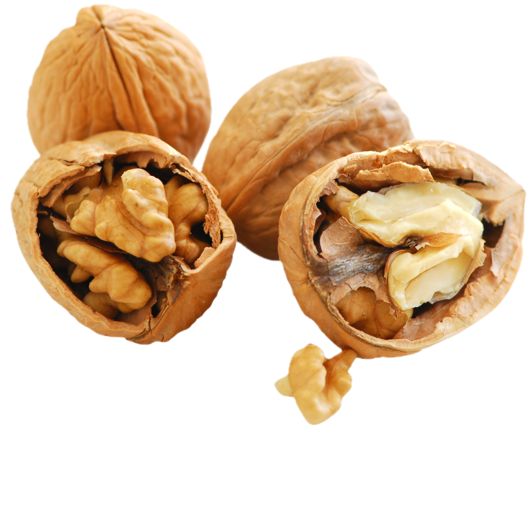 Cold pressed walnut oil omega-3 rich by Woodified Natura